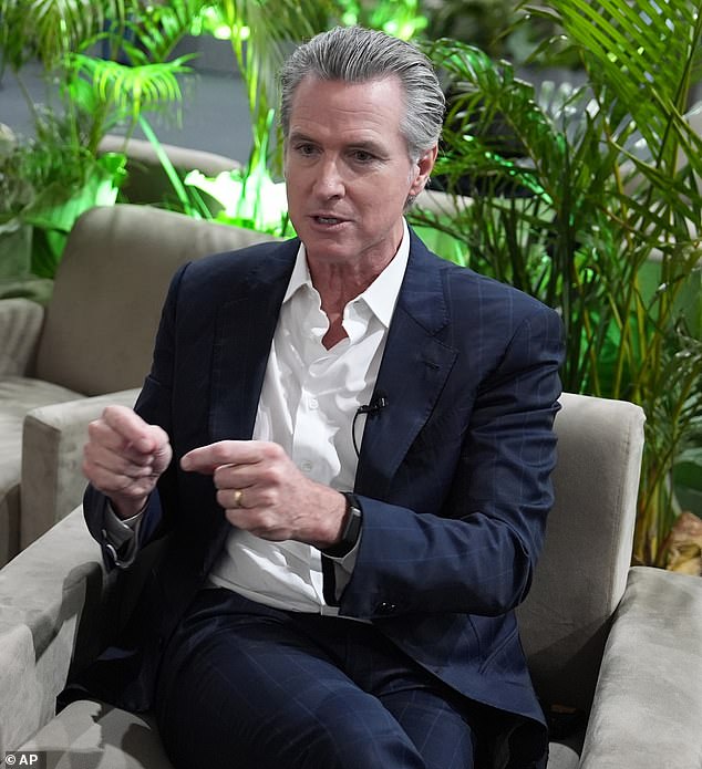 California Governor Gavin Newsom has also not ruled out a run for president in 2028