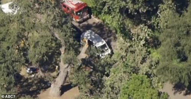 The tree failure caused four injuries in addition to Lamar's death, which could soon be the cause of a wrongful death lawsuit