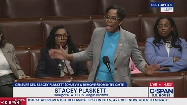 Plaskett attempted to explain that she was receiving praise from constituents for having told Republican Jim Jordan to 'shut up' for trying to shut down the hearing which included Epstein