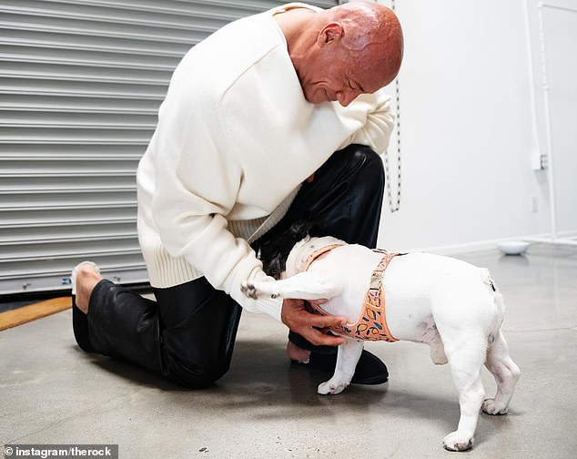 Earleir this year Dwayne 'The Rock' Johnson said the death of his beloved French bulldog left him 'numb'