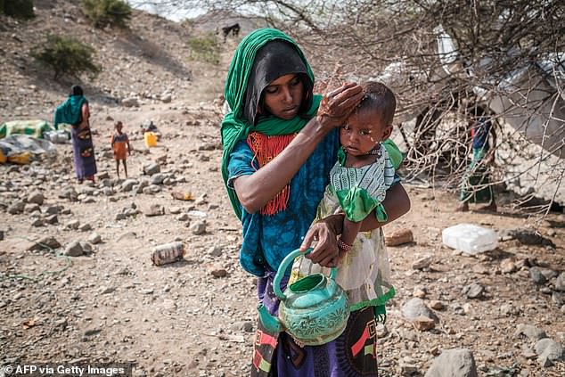 The conflict in Ethiopia began when the government attempted to disband regional military groups which had fought during the 2020-2022 civil war in the region of Tigray. Pictured: An internally displaced woman washes the face of a child in the makeshift camp where they are sheltered in the village of Erebti, Ethiopia, on June 09, 2022