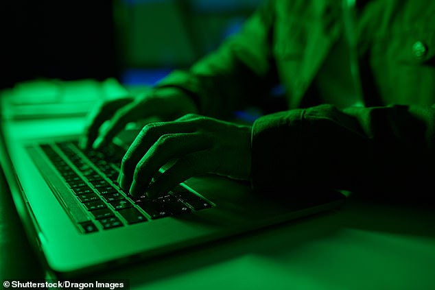 Researchers managed to access the accounts by exploiting WhatsApp's contact discovery mechanism. The experts say the flaw has now been fixed, and that no cybercriminals have used it (stock image)