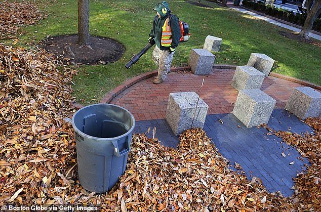 Homeowners and landscapers alike are adjusting to new restrictions on yard maintenance equipment