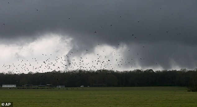 Twisters form when a thunderstorm’s rising warm air grabs hold of twisting winds near the ground and stretches that twist upward into a spinning tube (Stock Image)