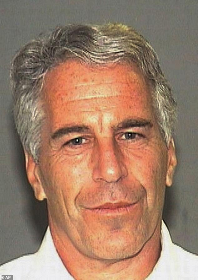 Epstein's mug shot from July 27, 2006, when he was arrested by Palm Beach sheriffs in Florida