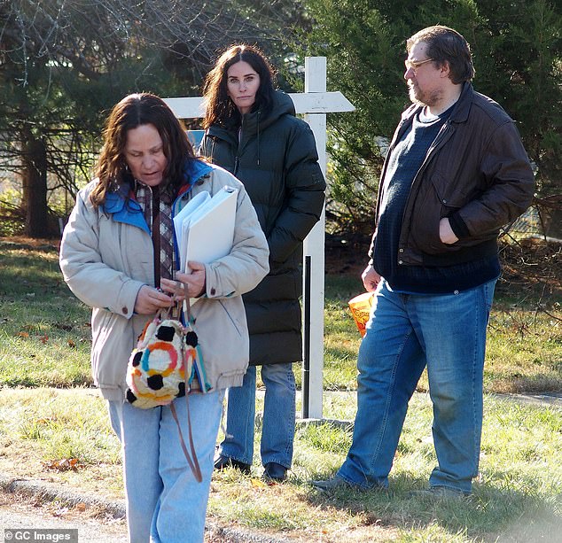 The 57-year-old Oscar-winning actress was cast in the project by the 61-year-old Friends alum