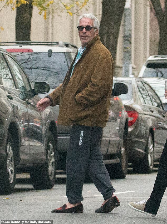 Epstein is pictured leaving his New York home in 2015