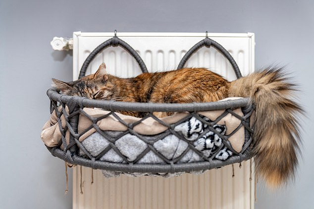 Be sensible: If practical, leave the heating on a minimal setting all the time to avoid burst pipes