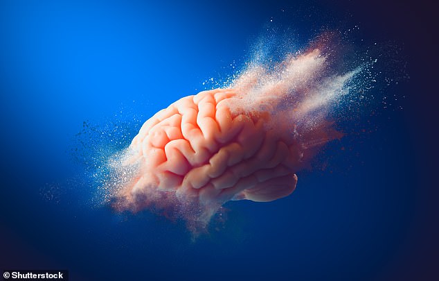 Entering a massive black hole would be deadly, but a researcher has now calculated that a tiny 'primordial' black hole could also produce a strong enough force to tear the cells of your brain apart from the inside (stock image)