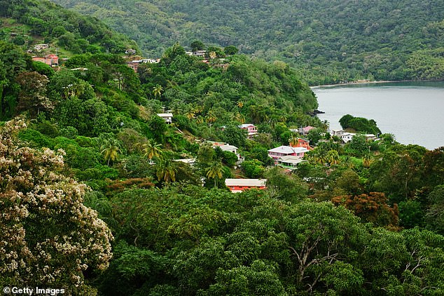 The American was found in a small fishing village with multiple stab wounds and a 'metal object' protruding from his back (stock image)