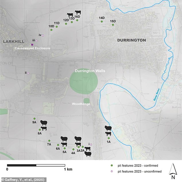 The researchers found that the pits had a consistent pattern of layers and even contained DNA of cattle and sheep. This suggests that they were deliberately built by humans