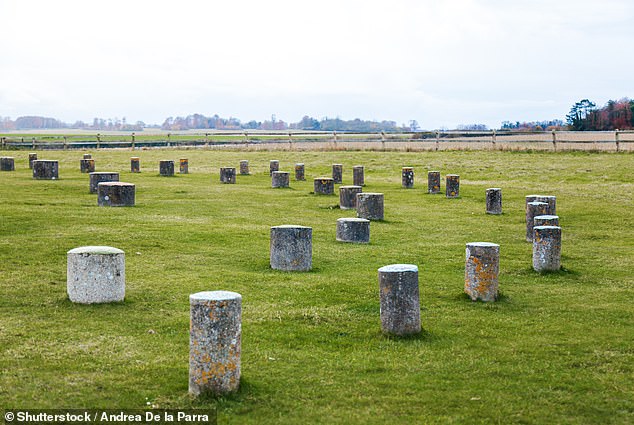 The pits encircle the ancient sites of Durrington Walls and Woodhenge. Woodhenge was an enormous timber monument built around 2500 BC, consisting of six concentric rings of posts of varying size forming an oval monument 40 metres across. Pictured: Stone pillars marking the locations of Woodhenge's timber posts