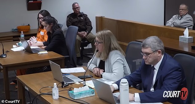 Judge Vincent Biskupic described Krebs' testimony as 'window dressing,' and said her prior violent and drug related convictions signaled her to be a risk