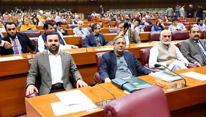 Lawmakers attend National Assembly session in Islamabad on November 11, 2025. — X/@NAofPakistan