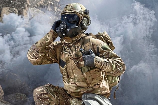 In demand: Avon, which went public in 1949 after supplying gas masks during the Second World War, said sales rose 14.1% to £239.4m in the year to September 30