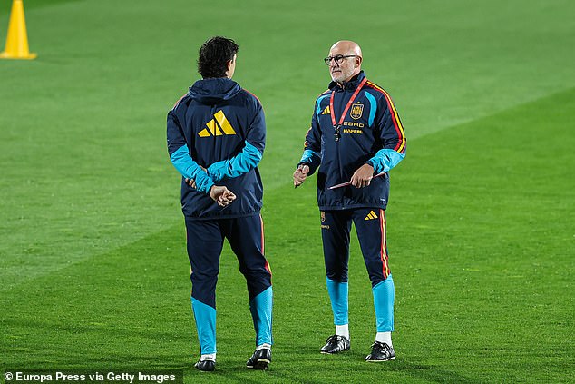 Luis de la Fuente, right, has reportedly expressed a desire to talk to Barcelona boss Hansi Flick after the international window