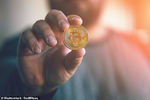 A large chunk of crypto investors, some 46 per cent, say it forms only a small part of their portfolio