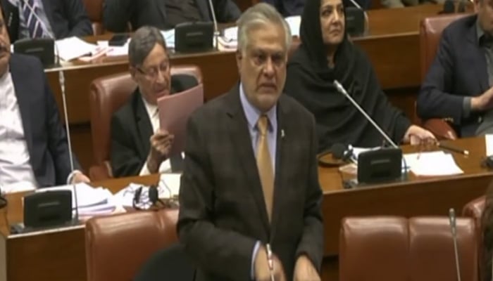 Deputy Prime Minister Senator Ishaq Dar addresses the session of Senate on November 13, 2025. — Screengrab via Geo News