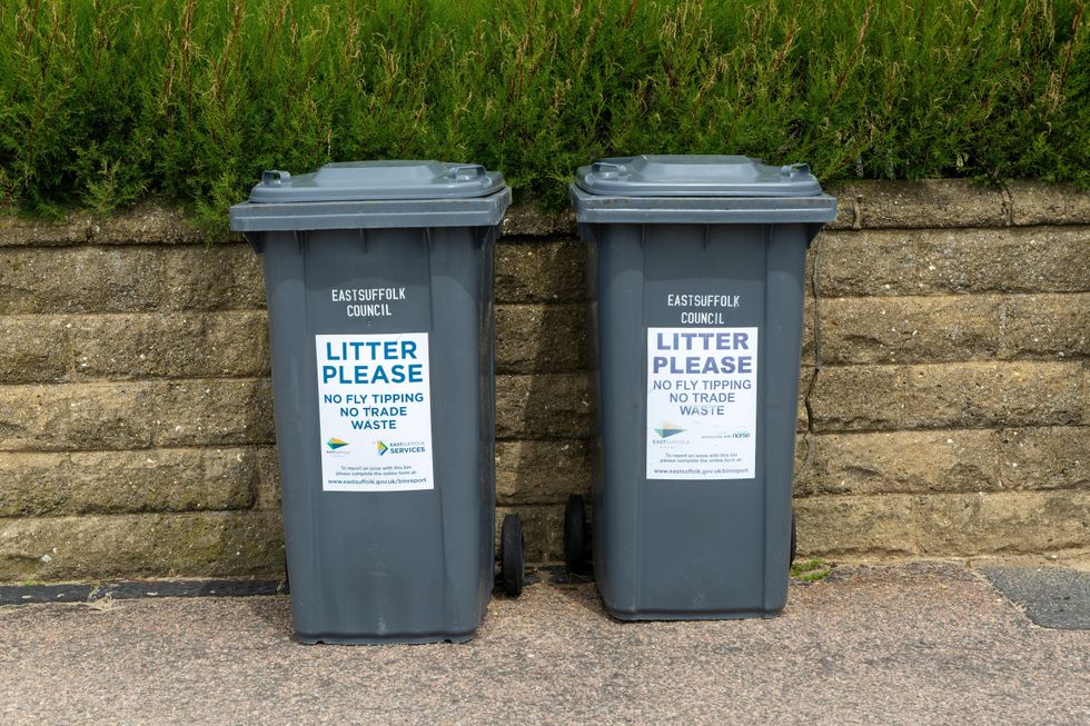 A pair of East Suffolk Council-run bins