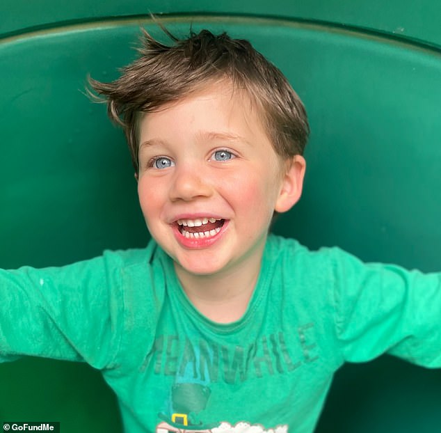 Ronan Kerr, four, died from his injuries after being struck on the head by the falling branch at Villa La Jolla park