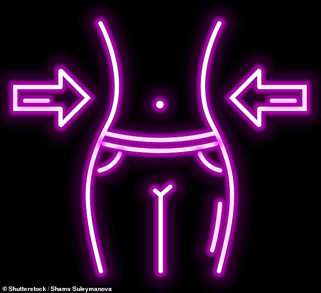 The vagus nerve has become known as the ‘super highway’ of the nervous system