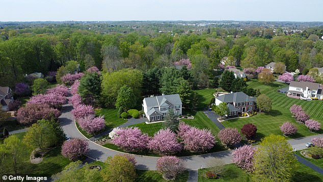 Gas-powered leaf blowers, once a yardwork staple, are now at the center of Arlington¿s sweeping ban