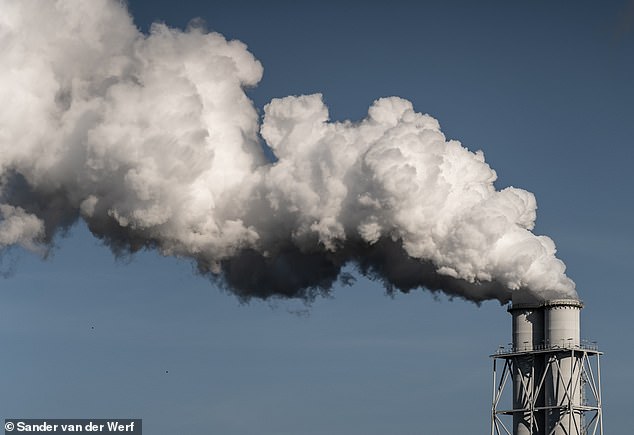 To meet the world's vast energy demands, power plants across the world burn 'dirty' fossil fuels - namely coal, oil and gas