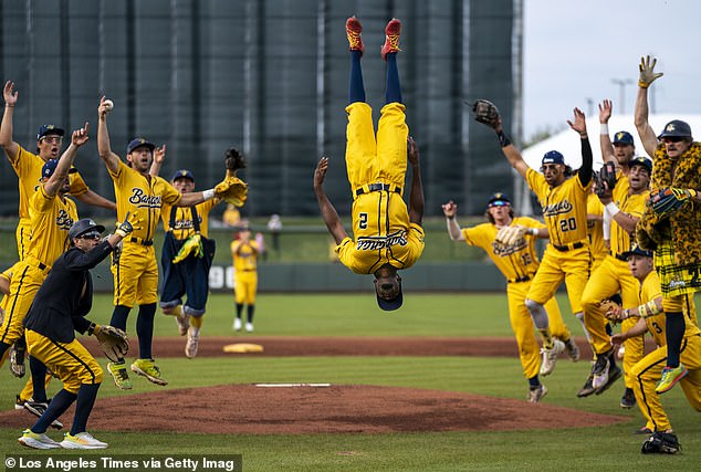 The Savannah Bananas have become a baseball phenomenon across the United States