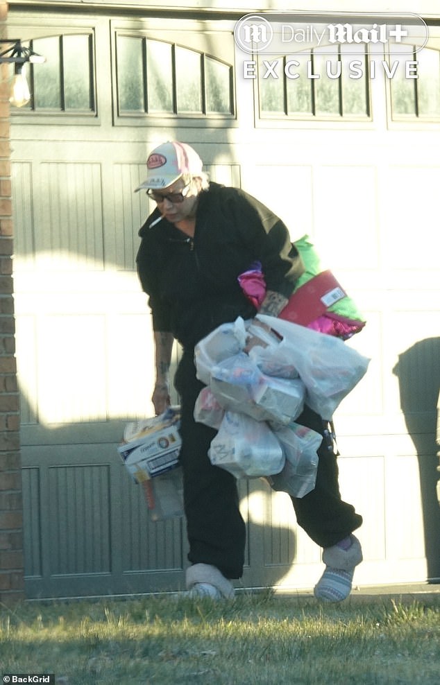 Eminem's ex wife Kim Scott was spotted hauling in Thanksgiving groceries ahead of the holidays back to her Detroit home