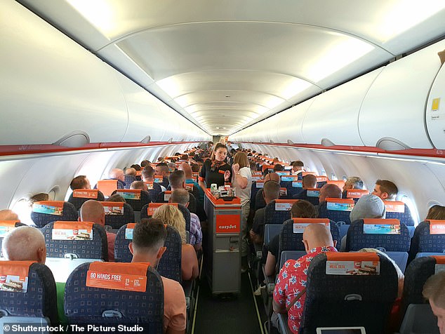 A flight attendant has revealed the secret language easyJet cabin crew use to communicate on board - including hilarious animal gestures that represent different meals (stock image)