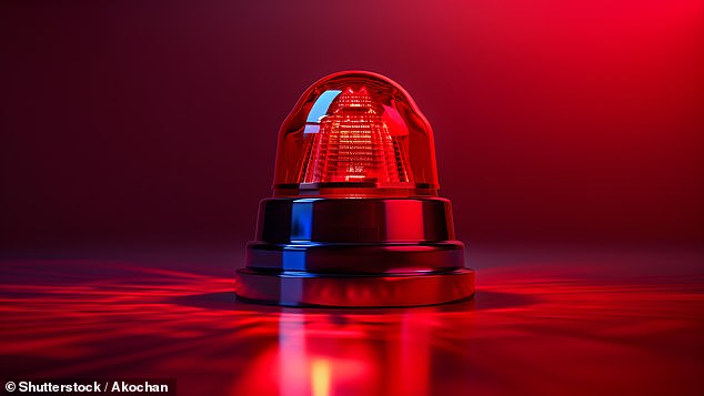 Red alert: Experts are warning it is now more important than ever to have an emergency buffer with a weaking jobs market