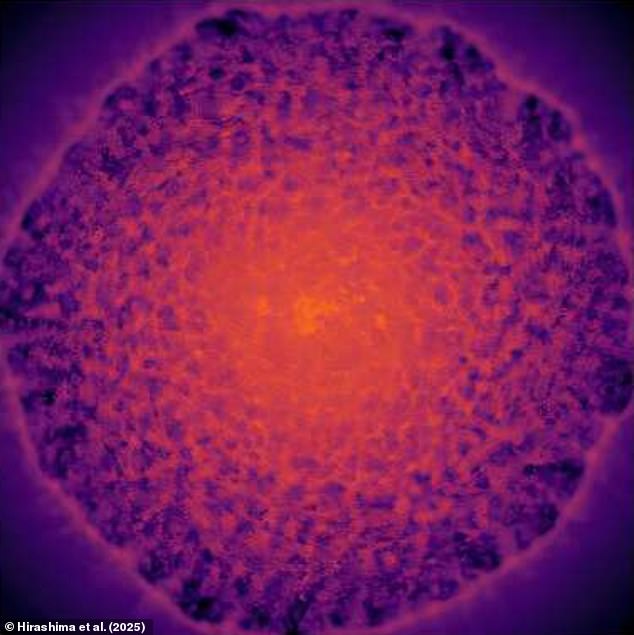 Scientists have created the most detailed simulation of the Milky Way ever created, charting the movements of 100 billion stars over 10,000 years. Pictured: A top-down view of the simulation showing areas of gases in red