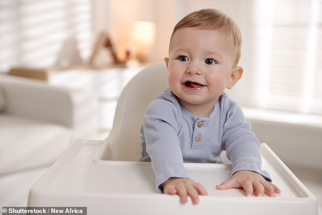 Baby products like high chairs were the most frequently recalled items in the US this year, according to data from the US Consumer Product Safety Commission (stock image)