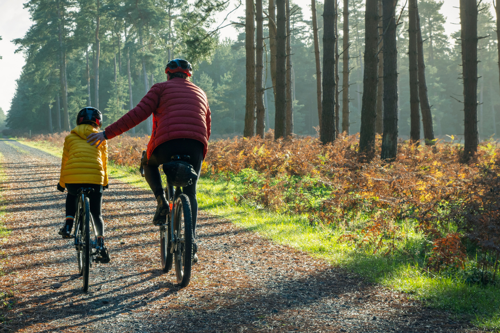 A father and son cycling along a road by woods
