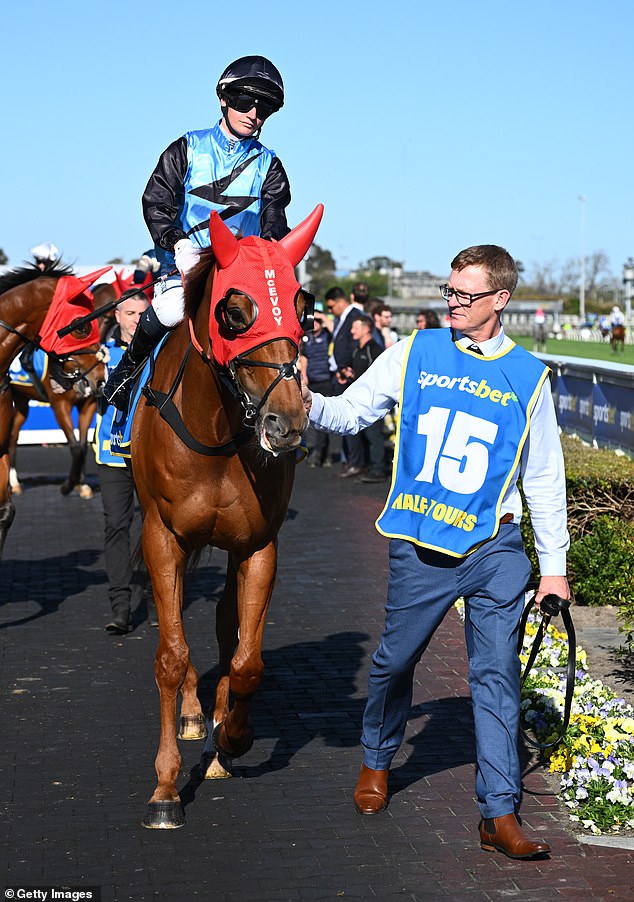 Half Yours has been a warm favourite for punters, but will need to defy history to claim the Melbourne Cup