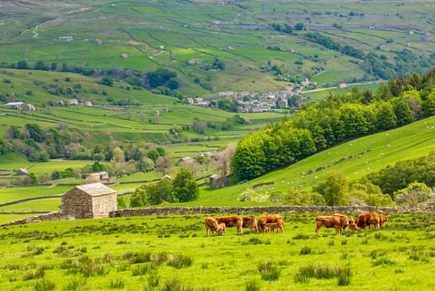 David Richards' firm will be rebranded under the proudly regional banner of Yorkshire AI