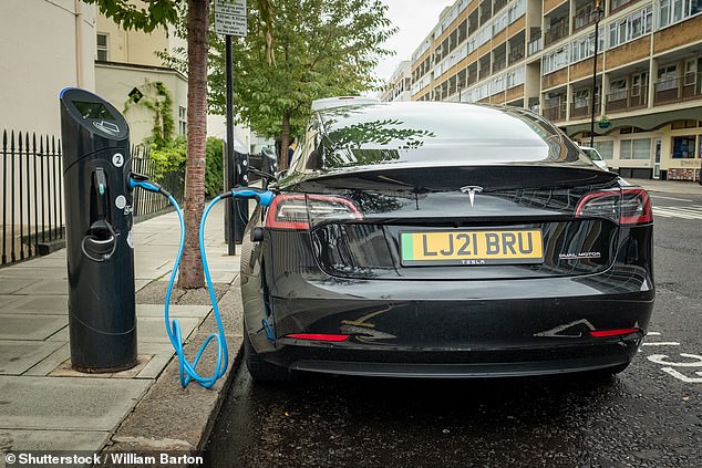 In February, This is Money recommended EV owners use a loophole in the vehicle excise duty system to evade an annual £195 payment for this year. And over 300,000 of them did, costing the Treasury an estimated £30million in lost revenue