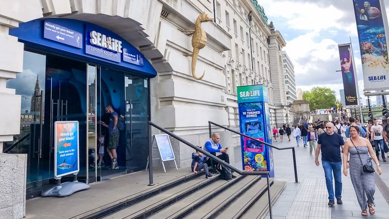 The aquarium is on the South Bank near the London Eye. iStock file pic