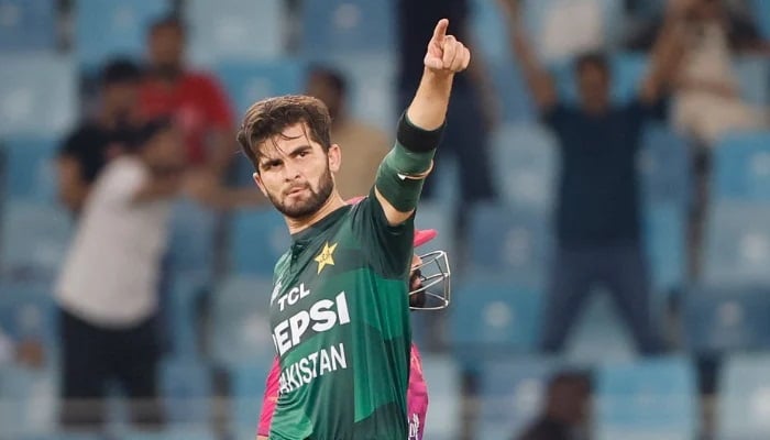 Shaheen Shah Afridi celebrates the wicket of Alishan Sharafu of UAE during the match between Pakistan and UAE at Dubai International Cricket Stadium on September 17, 2025, in Dubai, United Arab Emirates.— AFP