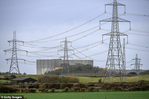 Green light: Rolls-Royce has been awarded the contract to build the UK’s first generation of small modular (nuclear) reactors at Wylfa in Anglesey (pictured)
