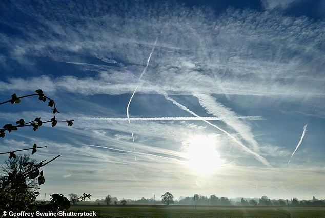Chemtrails allegedly carry multiple toxic chemicals which are released by airplanes, including barium salts, aluminum oxide, strontium, and mercury