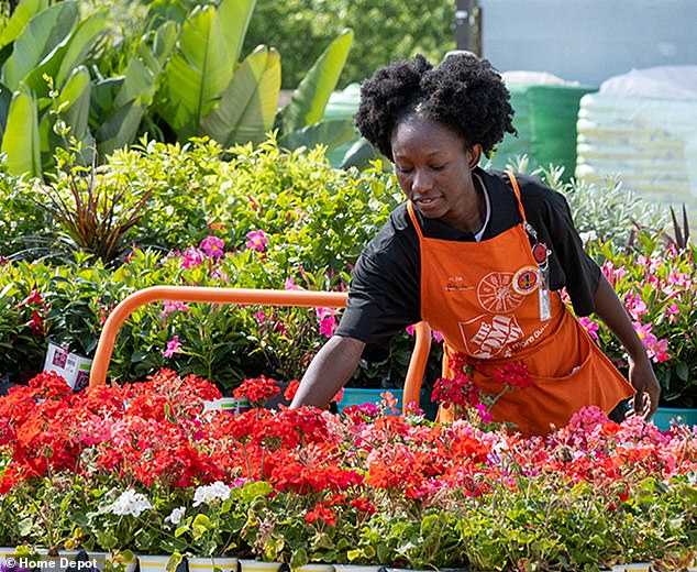 Investor worries turned up after The Home Depot posted lower-than-expected sales growth and said customers are slashing spending instead of renovating their homes