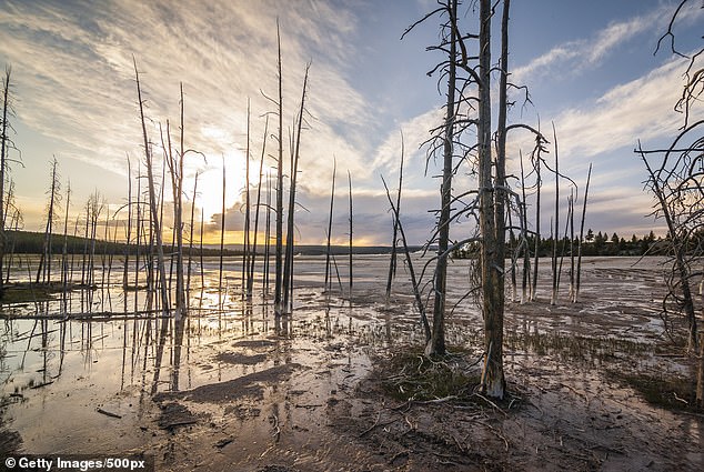 A law professor published research in 2005 that speculated crime could go unpunished in the Idaho section of Yellowstone National Park