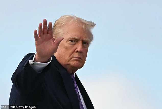 Newsom has made a name for himself in recent months for his scathing social media posts aimed at President Donald Trump