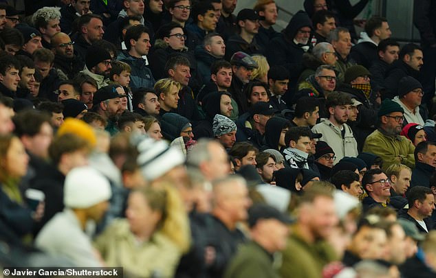 Patience is wearing thin among some Spurs fans frustrated with the manager