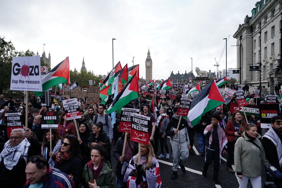 Pro-Palestine protestors in London