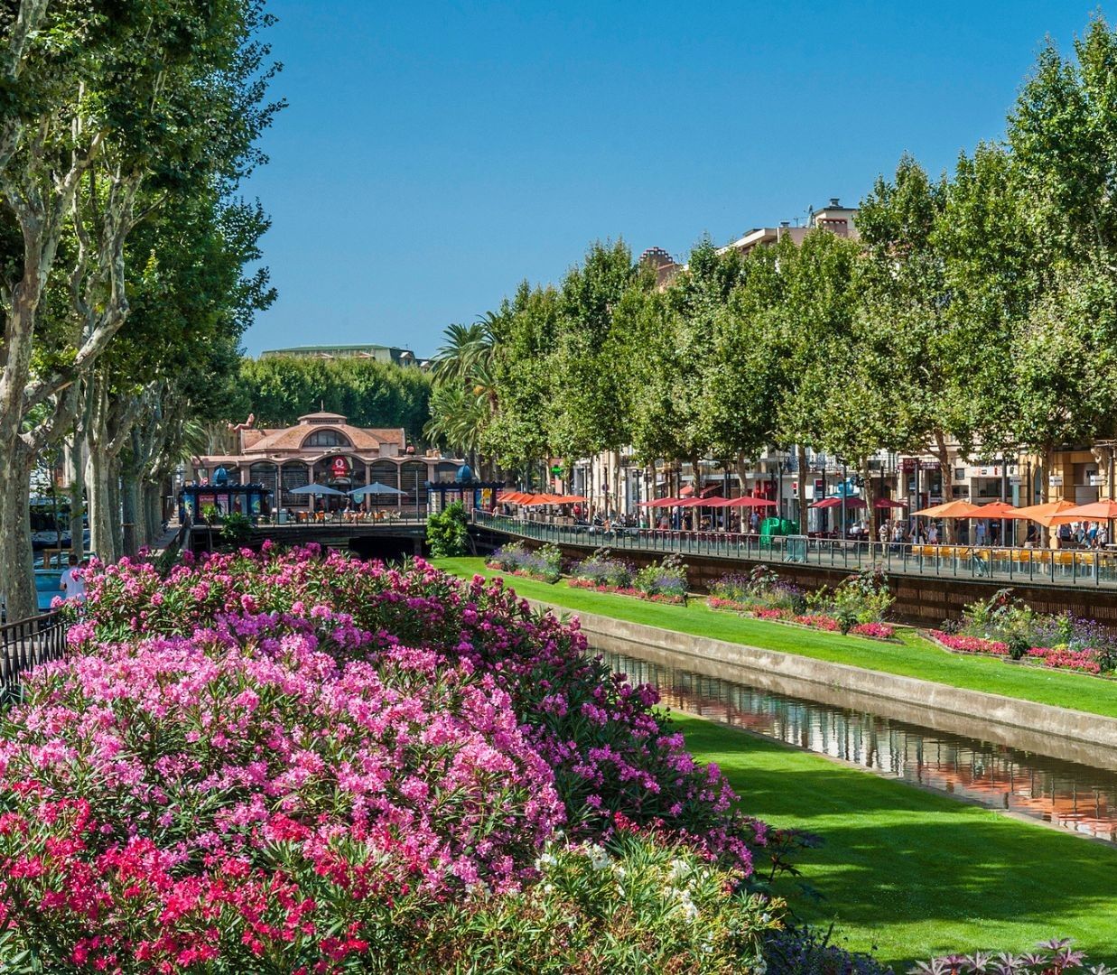 Expat in France/View of Perpignan, France