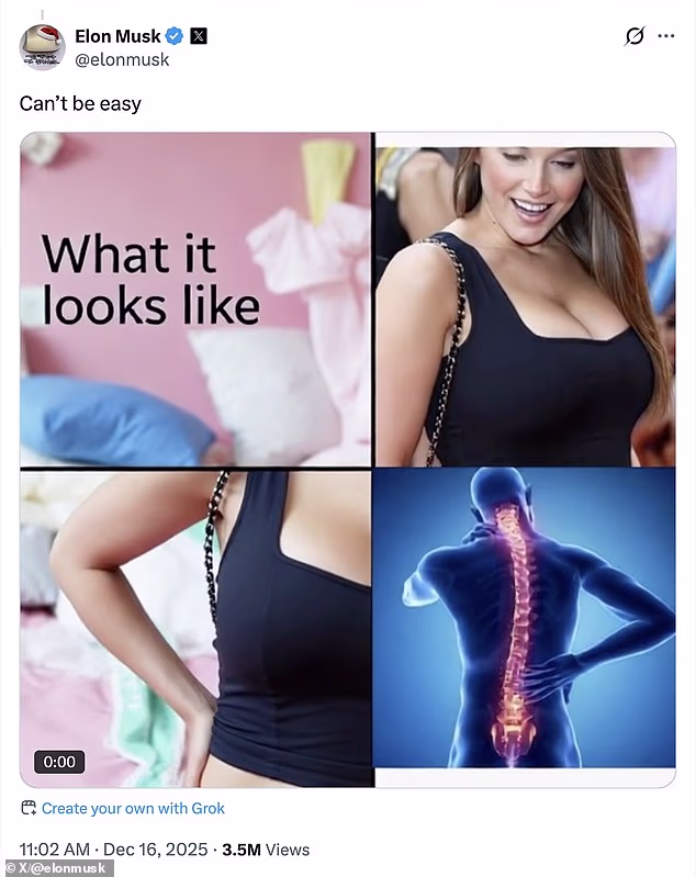 Musk's bizarre post appeared to suggest that Sweeney might have back pain because of the size of her breasts