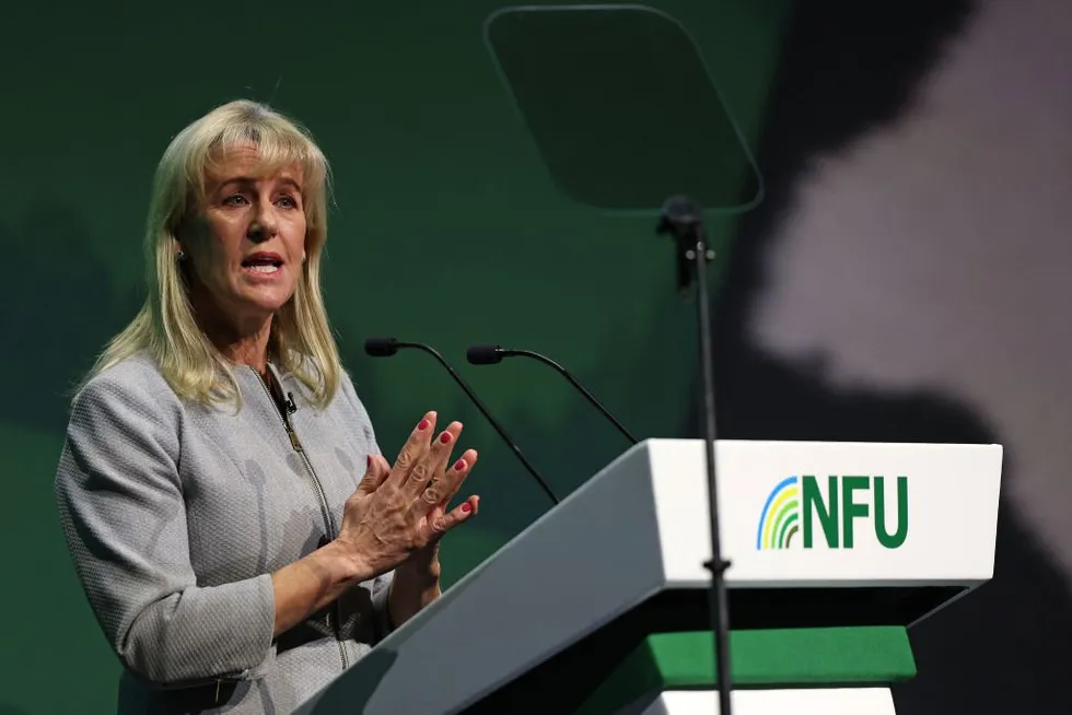 Former \u200bNational Farmers' Union (NFU) President Minette Batters