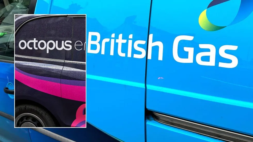 British Gas and Octopus Energy vans